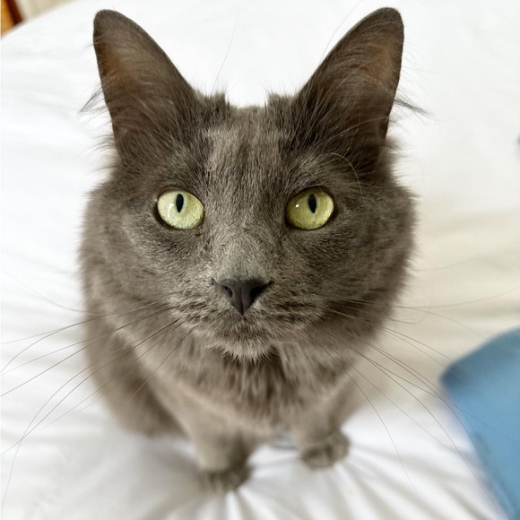 Meet the Seller - Hi, I'm Kym! - Picture 9 of 14